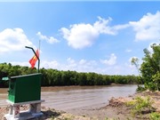 Hệ thống quan trắc nước ngập mặn ở Cà Mau: Một điển hình về ĐMST giải quyết thách thức môi trường